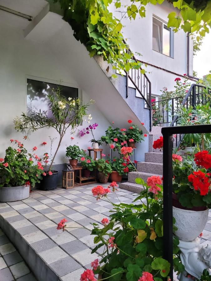Vila Didi, Mangalia Extérieur photo